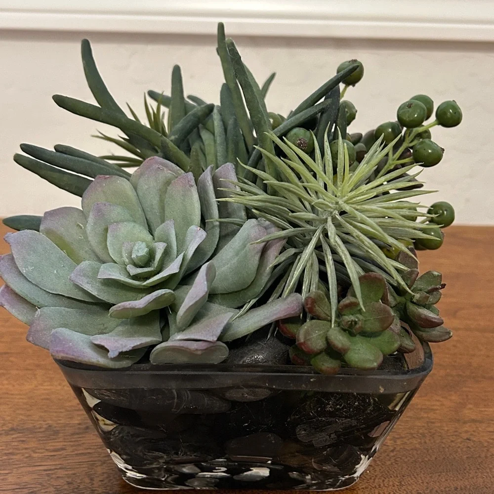 Artificial Green Succulent Arrangement